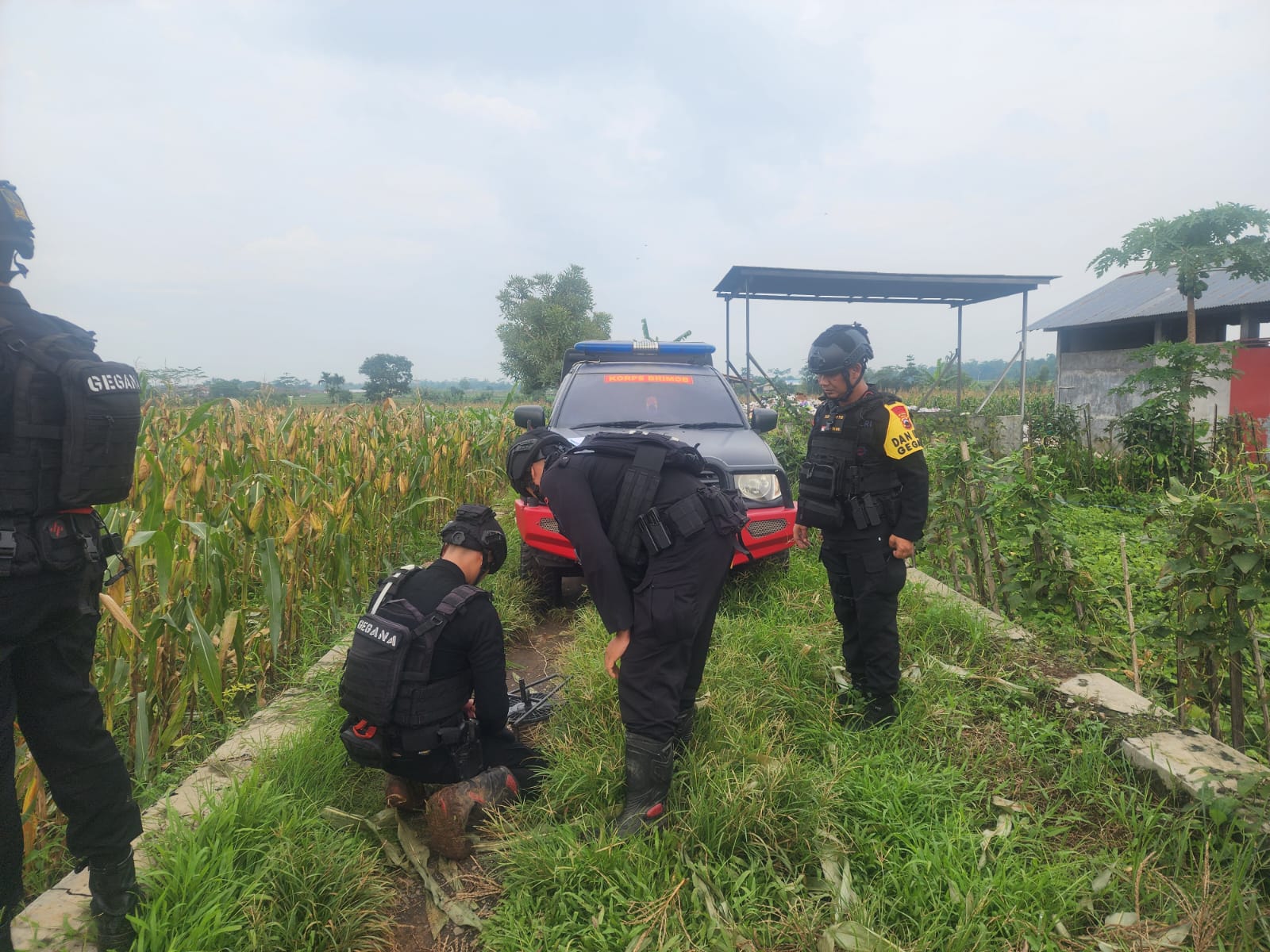 Penemuan Mortir di Sawah, Polsek Kembaran Banyumas Panggil Gegana Brimob Untuk Evakuasi