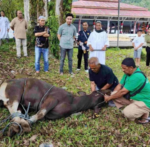 Rayakan Idul Adha, Bupati Sangihe Ajak Masyarakat Perkuat Solidaritas
